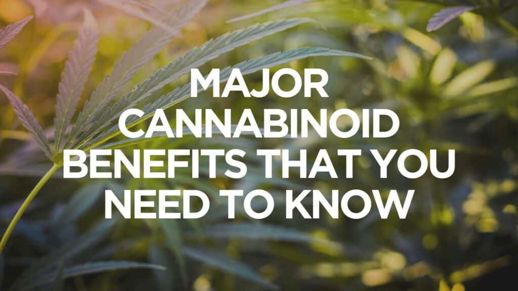 Major Cannabinoid Benefits That You Need To Know
