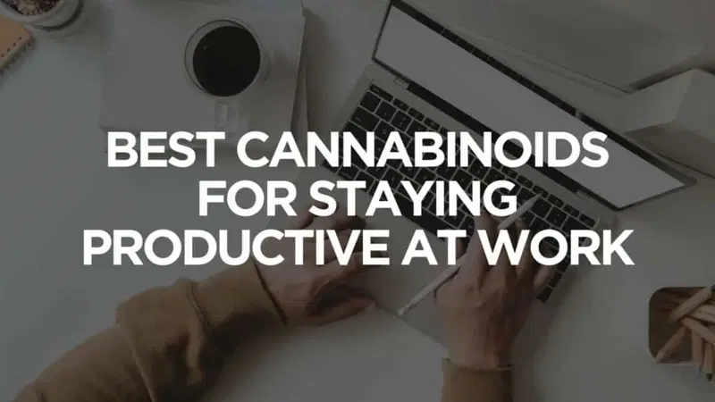 Best Cannabinoids For Staying Productive At Work