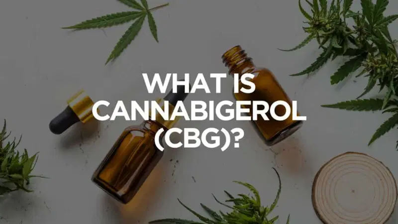What Is Cannabigerol Cbg
