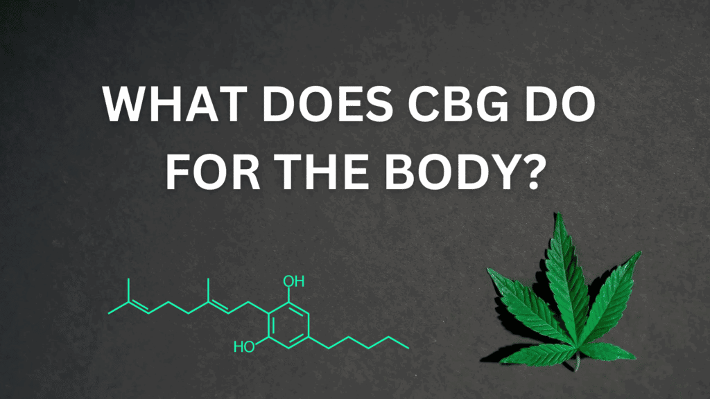 What Does Cbg Do For The Body