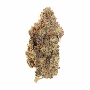 white bubblegum gelato thca flower