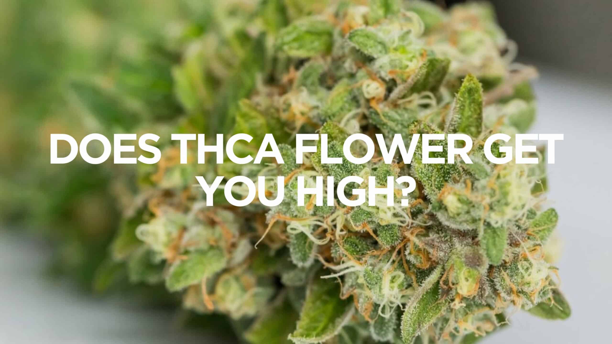 vape.hk/benefits-of-the-thca-flower-and-how-to-buy-the-right-one-for-you/ Does THCa Flower Get You High? Boro Box Lost Mary MT50K Turbo Variation:Kong