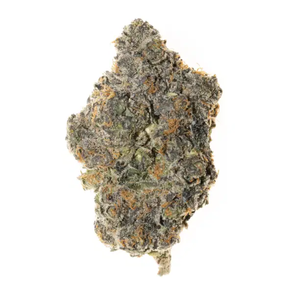 Hf Papaya X Gelato Product Photo