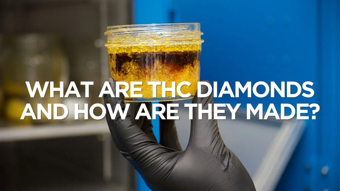 THC Diamonds: What Are They &amp; How’re They Made? | Harbor City Hemp