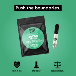 H4CBD Gummies - Blueberry Bliss 🍇 | Order Now