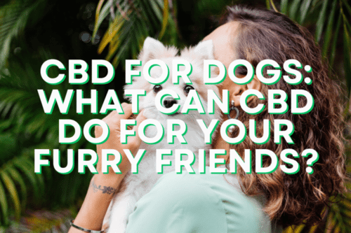 Woman Holding Dog With Title Text Of Cbd For Dogs Article