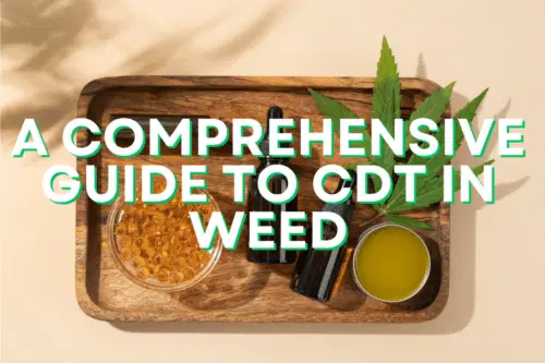 Guide To Cdt Article Featured Image With Cannabis Products