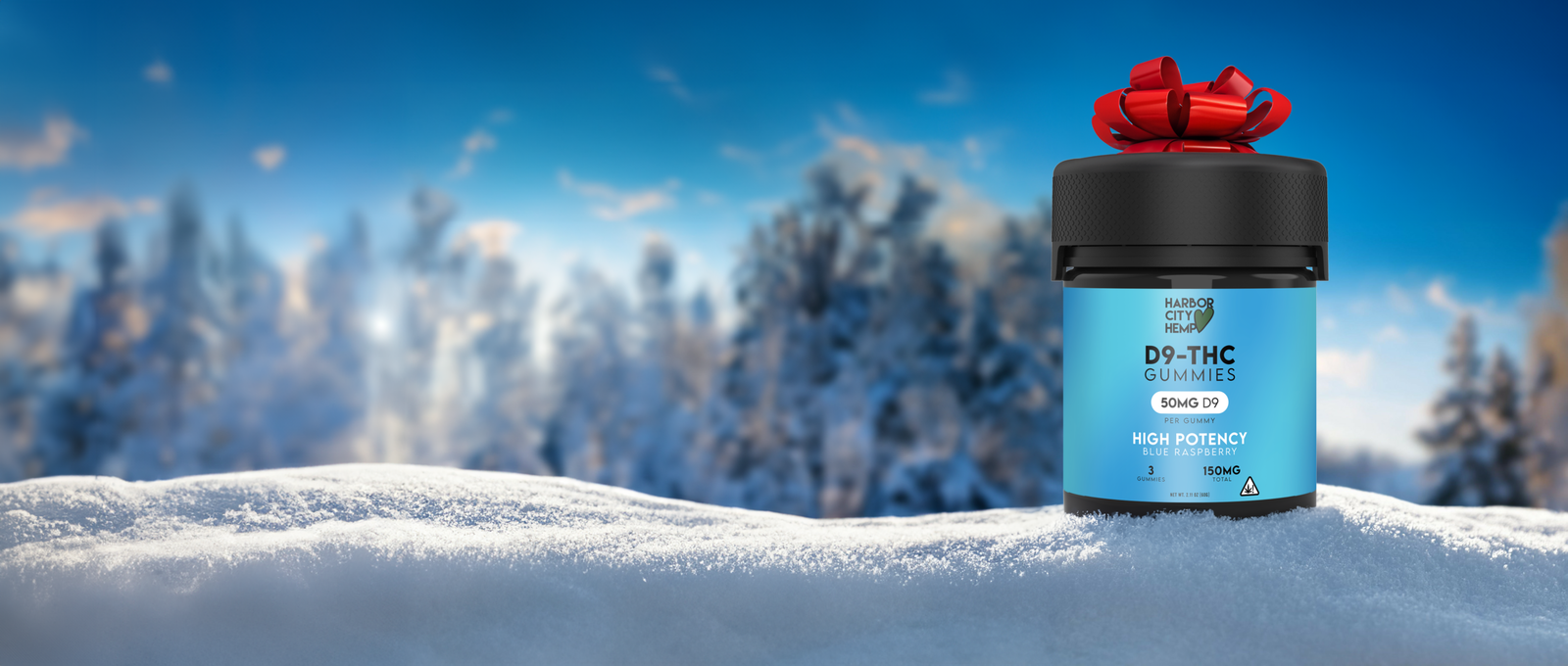 Holiday Banner 1