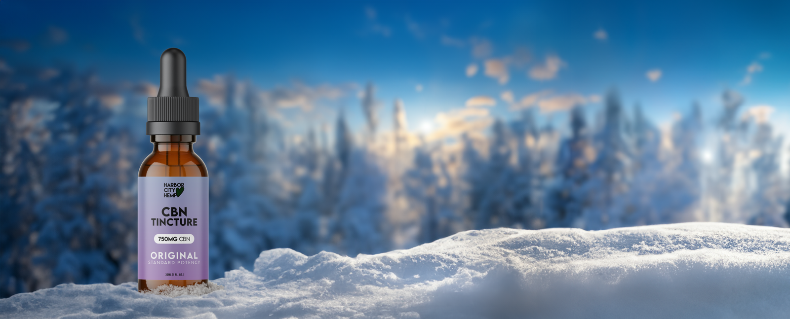 Holiday Banner 2