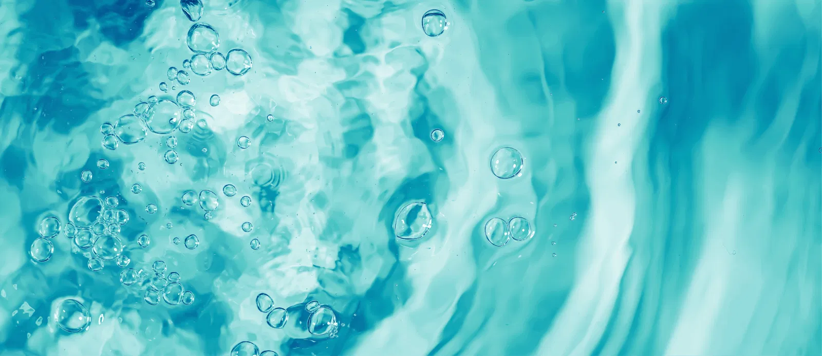 Md Banner 1