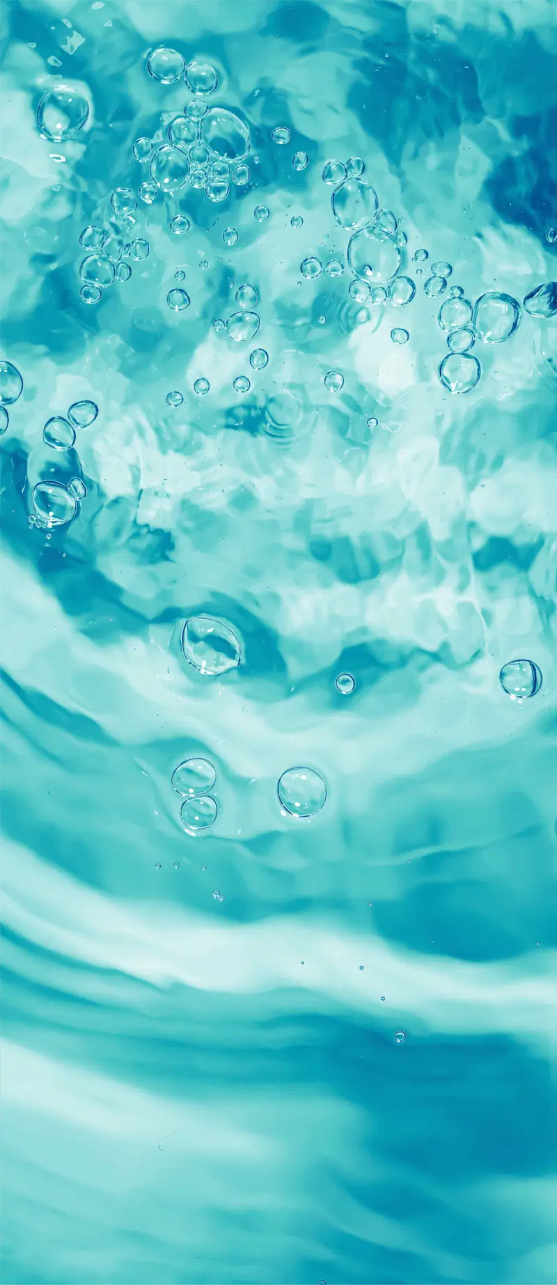Md Banner 3