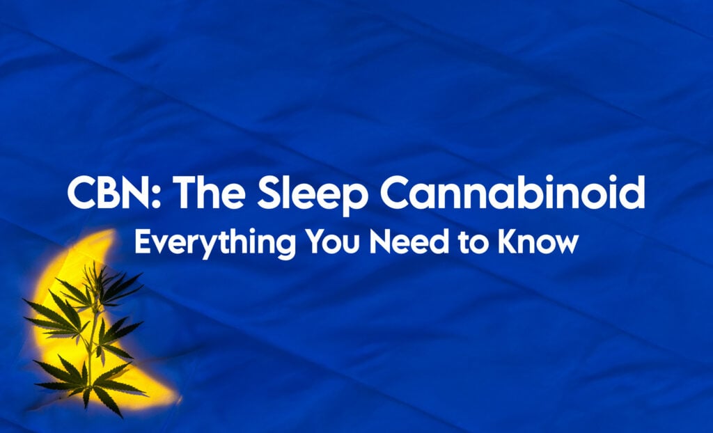 Cbn The Sleep Cannabinoid Everything You Need To Know