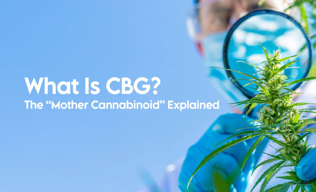 Cbg Education The Focus Cannabinoid